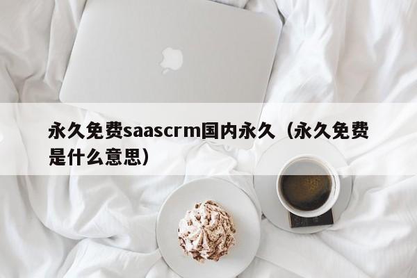永久免费saascrm国内永久（永久免费是什么意思）