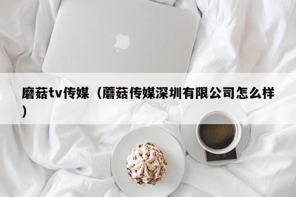 磨菇tv传媒（蘑菇传媒深圳有限公司怎么样）
