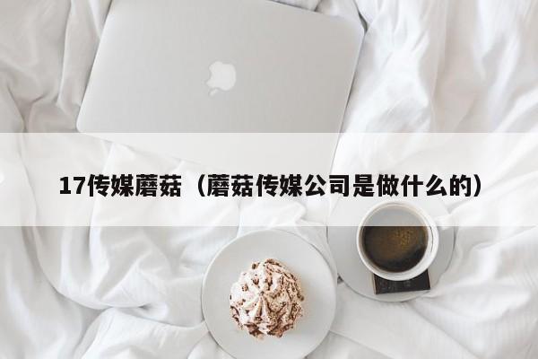 17传媒蘑菇（蘑菇传媒公司是做什么的）