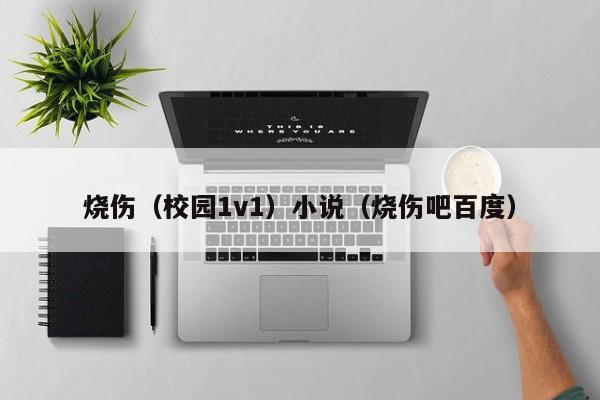 烧伤（校园1v1）小说（烧伤吧百度）