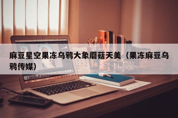 麻豆星空果冻乌鸦大象蘑菇天美（果冻麻豆乌鸦传媒）
