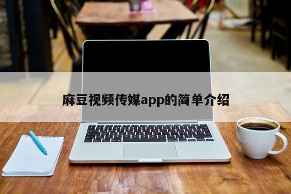 麻豆视频传媒app的简单介绍