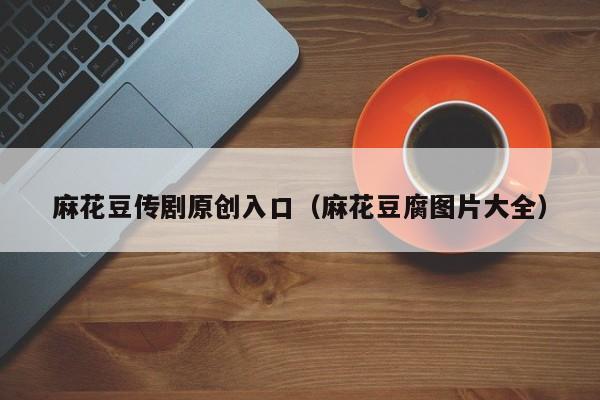 麻花豆传剧原创入口（麻花豆腐图片大全）